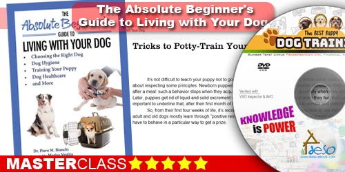 The Absolute Beginner's Guide to Living with Your Dog