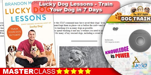Lucky Dog Lessons