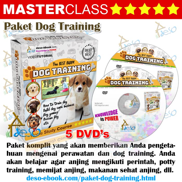 Paket Dog Training